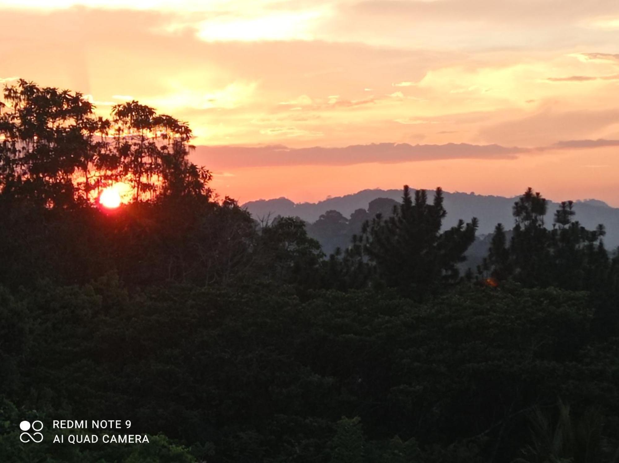Villa Forest View - No: 50/17 Kandy Extérieur photo